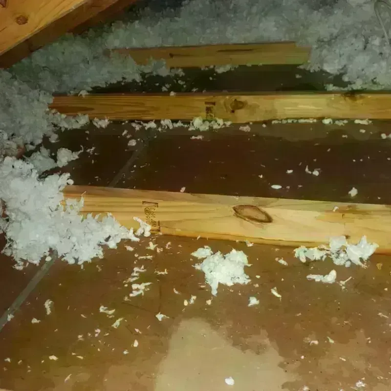 Attic Water Damage in Navasota, TX